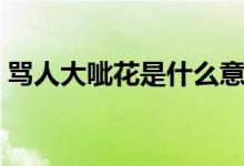 骂人大呲花是什么意思（大呲花是什么意思）