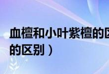 血檀和小叶紫檀的区别方法（血檀和小叶紫檀的区别）