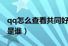 qq怎么查看共同好友（qq怎么查看共同好友是谁）