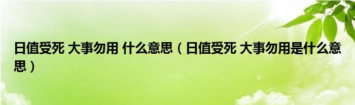 日值受死 大事勿用 什么意思（日值受死 大事勿用是什么意思）