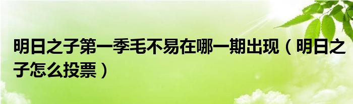 明日之子第一季毛不易在哪一期出现（明日之子怎么投票）