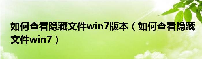 如何查看隐藏文件win7版本（如何查看隐藏文件win7）