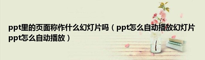 ppt里的页面称作什么幻灯片吗（ppt怎么自动播放幻灯片 ppt怎么自动播放）