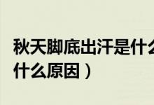 秋天脚底出汗是什么原因女（秋天脚底出汗是什么原因）