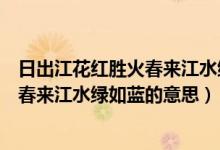 日出江花红胜火春来江水绿如蓝是哪首诗（日出江花红胜火春来江水绿如蓝的意思）