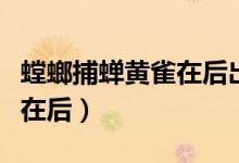 螳螂捕蝉黄雀在后出自哪本书（螳螂捕蝉黄雀在后）