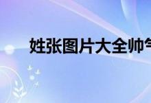 姓张图片大全帅气（姓氏图片大全张）