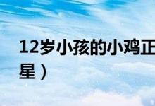 12岁小孩的小鸡正常图（12岁小孩怎样当明星）