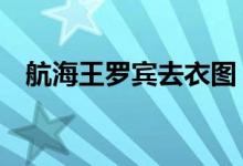 航海王罗宾去衣图（航海王罗宾图片h禁）
