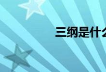三纲是什么意思（三纲）