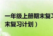 一年级上册期末复习计划语文（一年级上册期末复习计划）