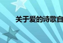 关于爱的诗歌自创(关于爱的诗歌)