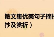 散文集优美句子摘抄和赏析（史铁生散文集摘抄及赏析）