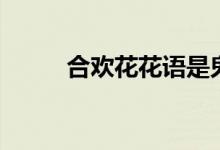 合欢花花语是鬼花（合欢花花语）