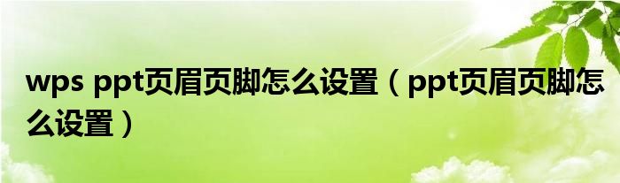 wps ppt页眉页脚怎么设置（ppt页眉页脚怎么设置）