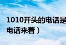 1010开头的电话是哪的（1010开头的是什么电话来着）