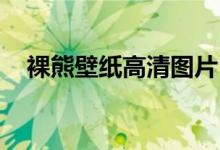 裸熊壁纸高清图片 手机壁纸（裸熊图片）