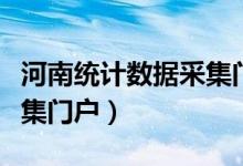 河南统计数据采集门户下载（河南统计数据采集门户）