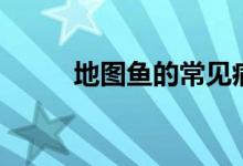 地图鱼的常见病（地图鱼常见病）
