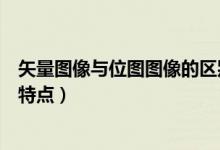 矢量图像与位图图像的区别（矢量图形和位图图像各有什么特点）