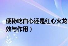 便秘吃白心还是红心火龙果（红心火龙果和白心火龙果的功效与作用）