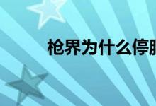 枪界为什么停服（枪界配置要求）