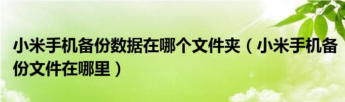 小米手机备份数据在哪个文件夹（小米手机备份文件在哪里）