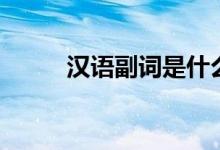 汉语副词是什么意思（汉语副词）