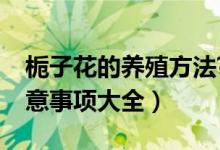 栀子花的养殖方法?(栀子花的养殖方法和注意事项大全)