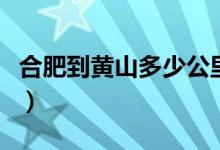 合肥到黄山多少公里路（合肥到黄山多少公里）