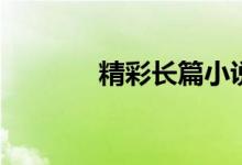 精彩长篇小说（长篇se小说）