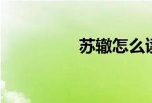 苏辙怎么读（苏怎么读）