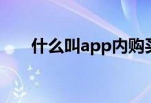 什么叫app内购买项目（什么叫app）