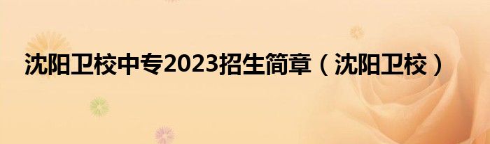 沈阳卫校中专2023招生简章（沈阳卫校）