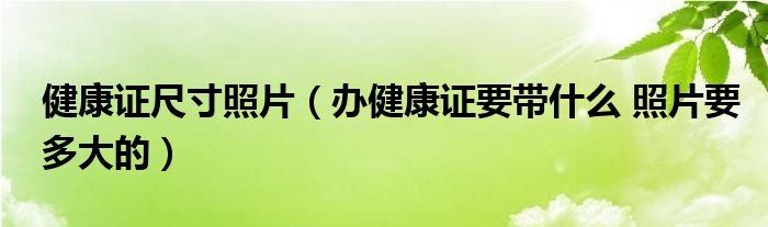 健康证尺寸照片（办健康证要带什么 照片要多大的）