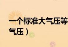 一个标准大气压等于多少mpa（一个标准大气压）