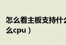 怎么看主板支持什么固态（怎么看主板支持什么cpu）