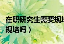 在职研究生需要规培吗现在（在职研究生需要规培吗）