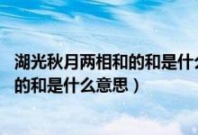 湖光秋月两相和的和是什么意思 百度网盘（湖光秋月两相和的和是什么意思）
