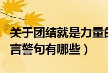 关于团结就是力量的警句（团结就是力量的名言警句有哪些）