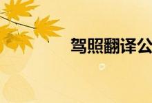 驾照翻译公证（驾照翻译）