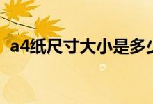 a4纸尺寸大小是多少像素（a4纸尺寸厘米）