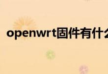 openwrt固件有什么功能（openwrt固件）