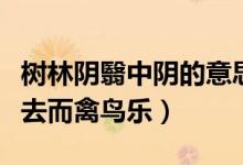 树林阴翳中阴的意思(树林阴翳鸣声上下游人去而禽鸟乐)