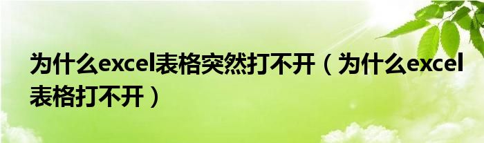 为什么excel表格突然打不开（为什么excel表格打不开）