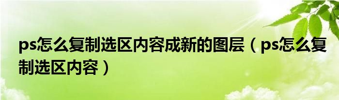 ps怎么复制选区内容成新的图层（ps怎么复制选区内容）