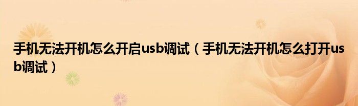 手机无法开机怎么开启usb调试（手机无法开机怎么打开usb调试）