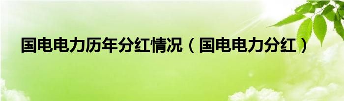 国电电力历年分红情况（国电电力分红）