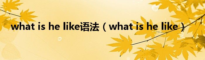 what is he like语法（what is he like）