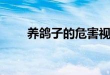 养鸽子的危害视频（养鸽子的危害）